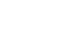 Web Optic logo