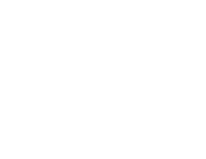 SO Visual logo