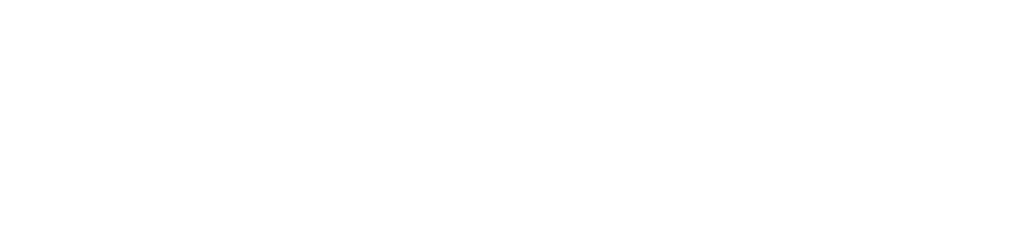 Zero Plus logo