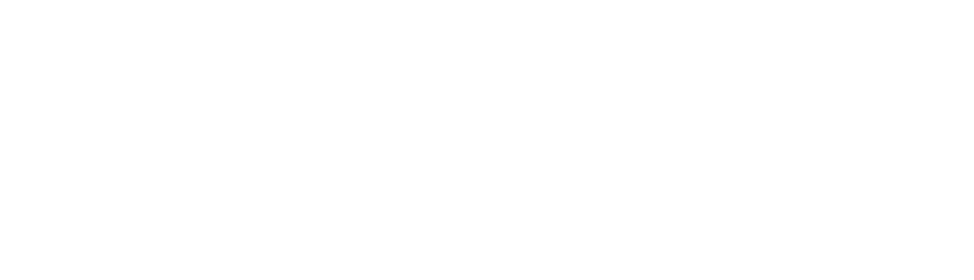 The Bald Builders logo