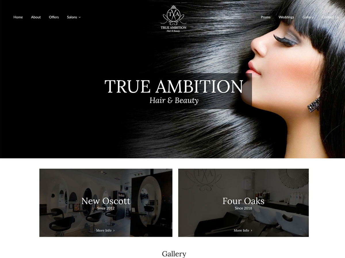 True Ambition website screenshot