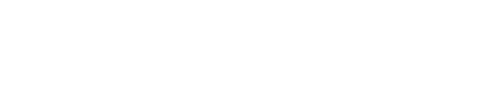 VeloxServ logo