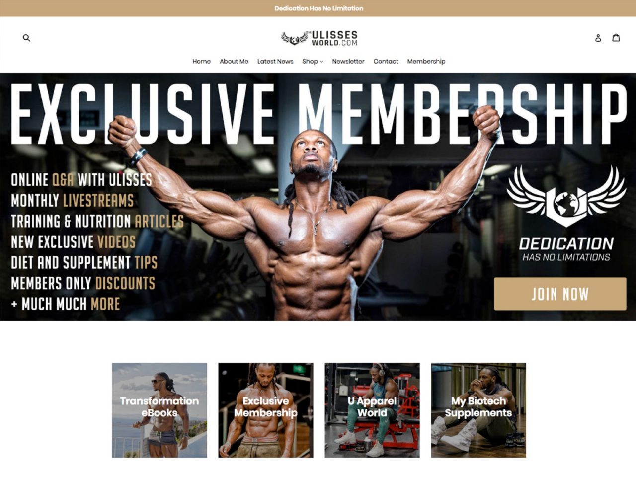 Ulisses World website screenshot